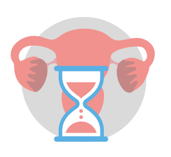 Illustration of an ovary