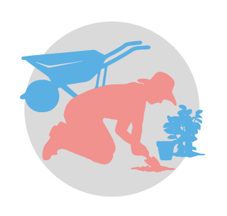 Illustration of an elderly person gardening.